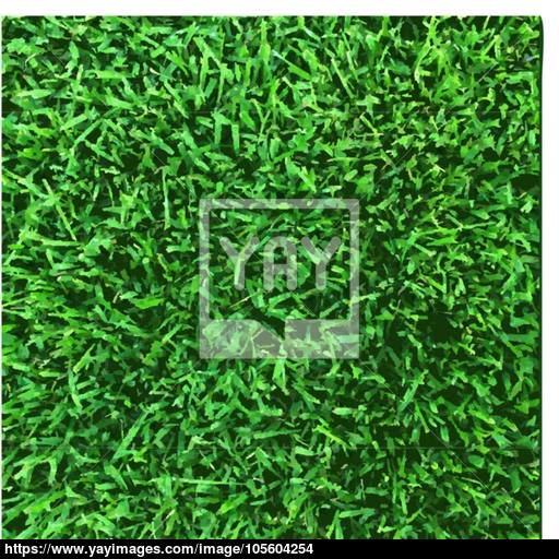 512x512 Grass Texture Vector