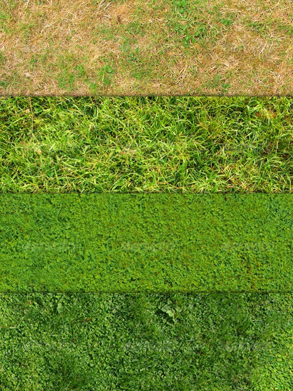 585x782 Grass Textures Free Png, Vector Format