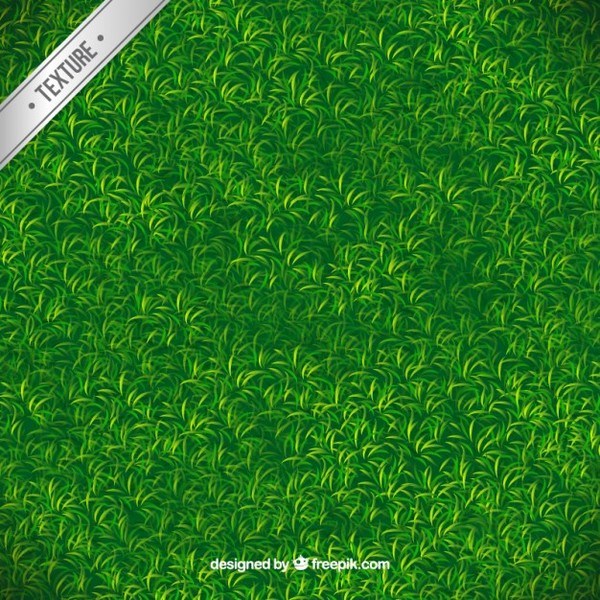 600x600 Green Grass Texture Free Vector