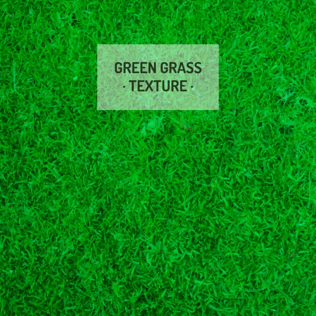 626x626 Green Grass Texture Vector Free Download