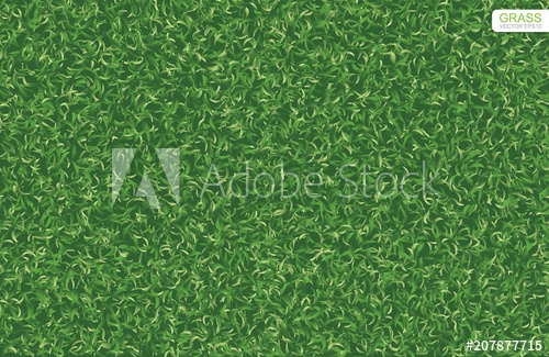 500x325 Green Nature Lawn Grass Texture And Pattern Background Vector
