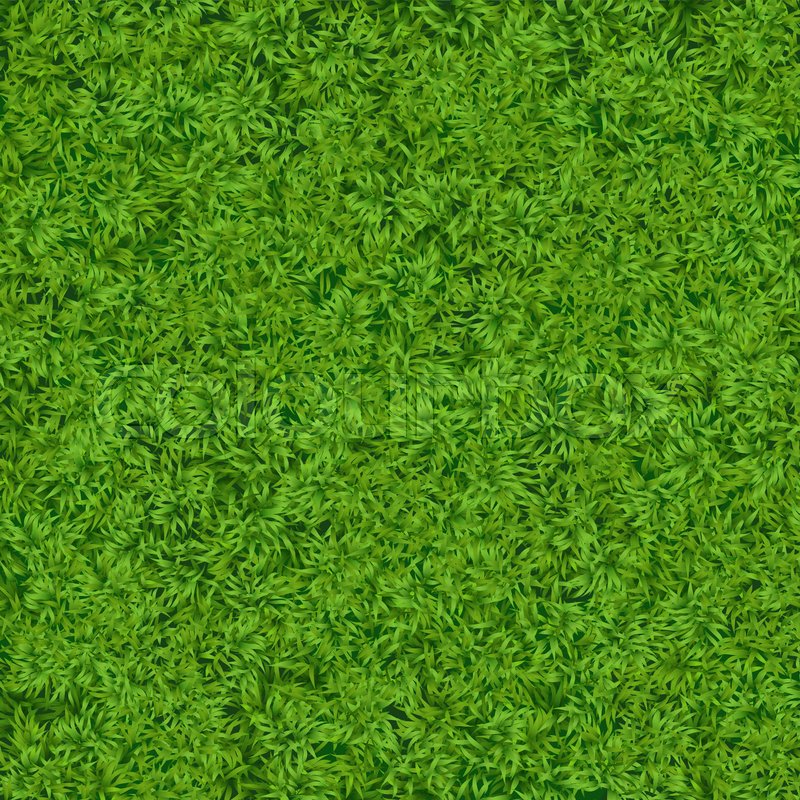 800x800 Natural Realistic Green Grass Texture Stock Vector Colourbox