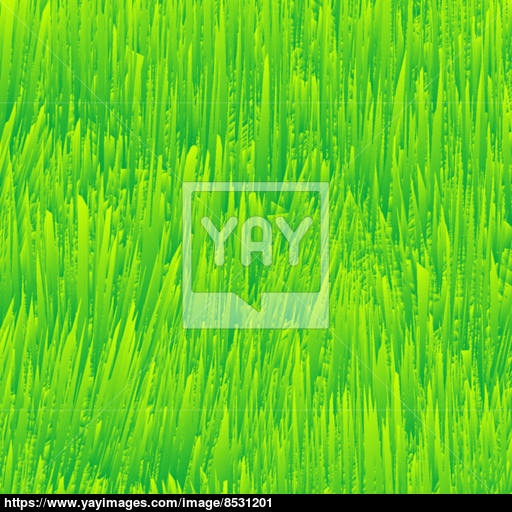 512x512 Fresh Grass Texture Vector
