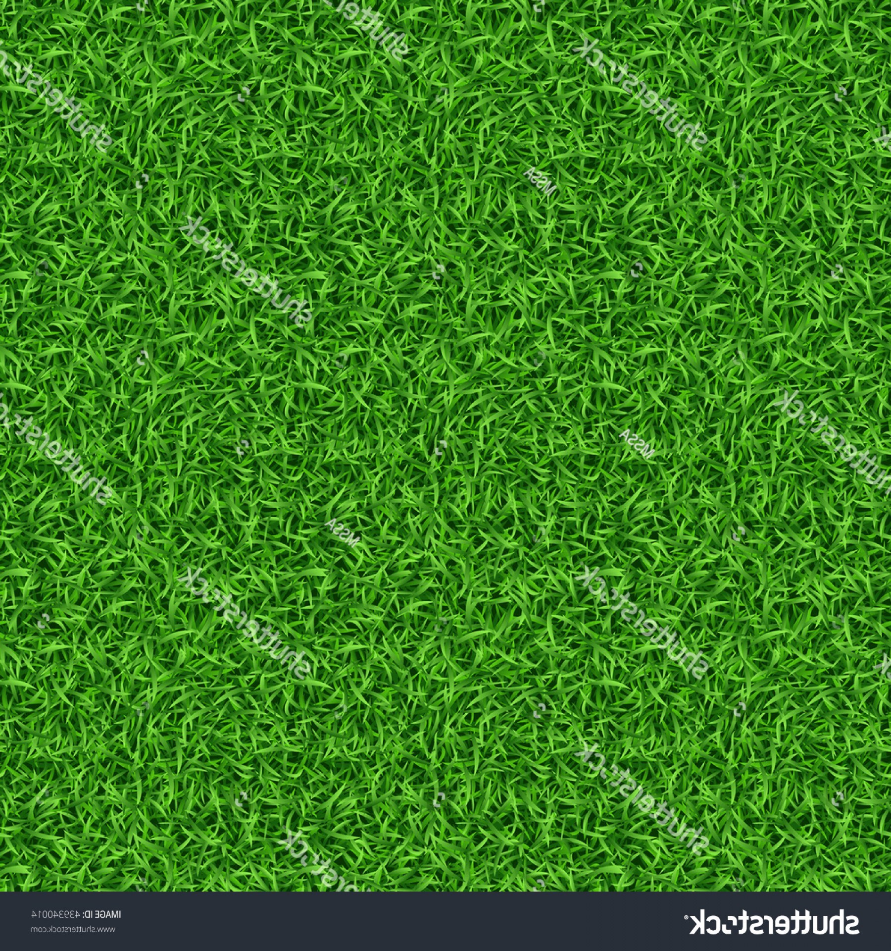 1800x1920 Grass Texture Vector