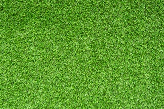 338x225 Grass Texture Clipart