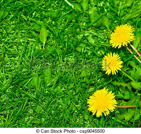 450x429 Grass And Flowers Background Plain Grass And Flowers Background