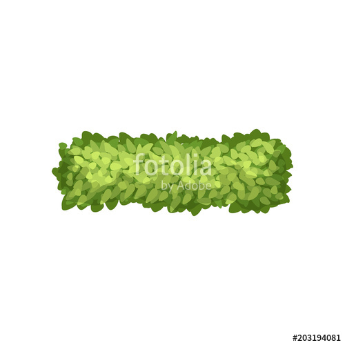 500x500 Green Grass, Landscape Design Element, Top View Vector