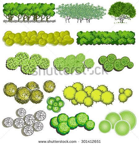 450x470 Lawn Clipart Top View