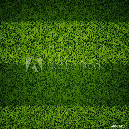 500x500 Soccer Grass Top View