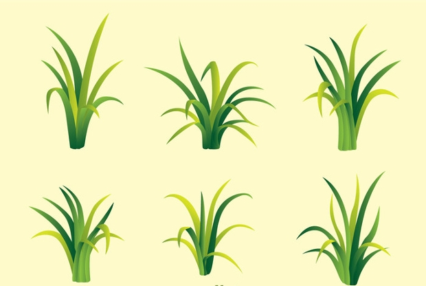 Grass Vectors 620x416 Grass Vectors
