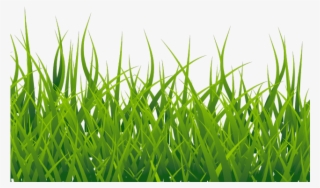 Grass Vector Png Images Png Cliparts Free Download On Seekpng 320x188 Grass Vector Png Images Png Cliparts Free Download On Seekpng