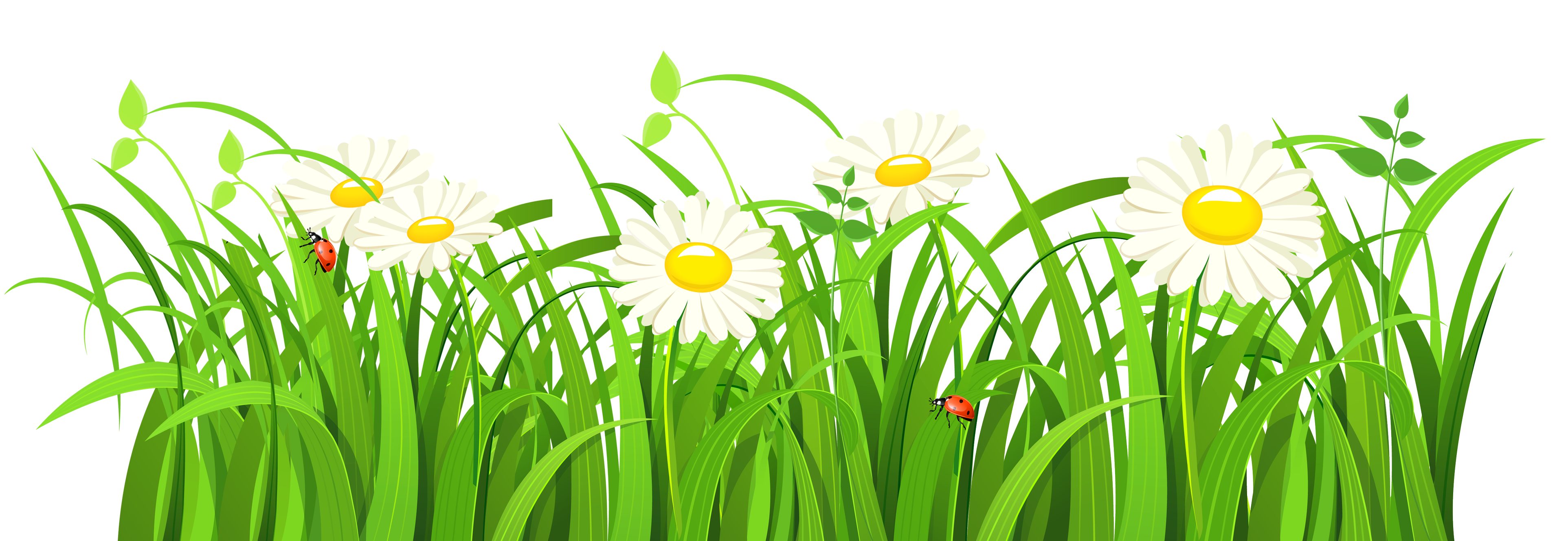 Grass Vector Png Transparent Image 3850x1330 Grass Vector Png Transparent Image