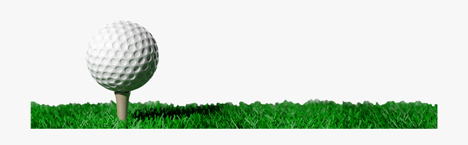 Grass Vector Png 920x286 Grass Vector Png