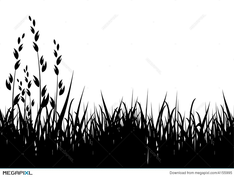 Grass Vector Silhouette Illustration 800x604 Grass Vector Silhouette Illustration