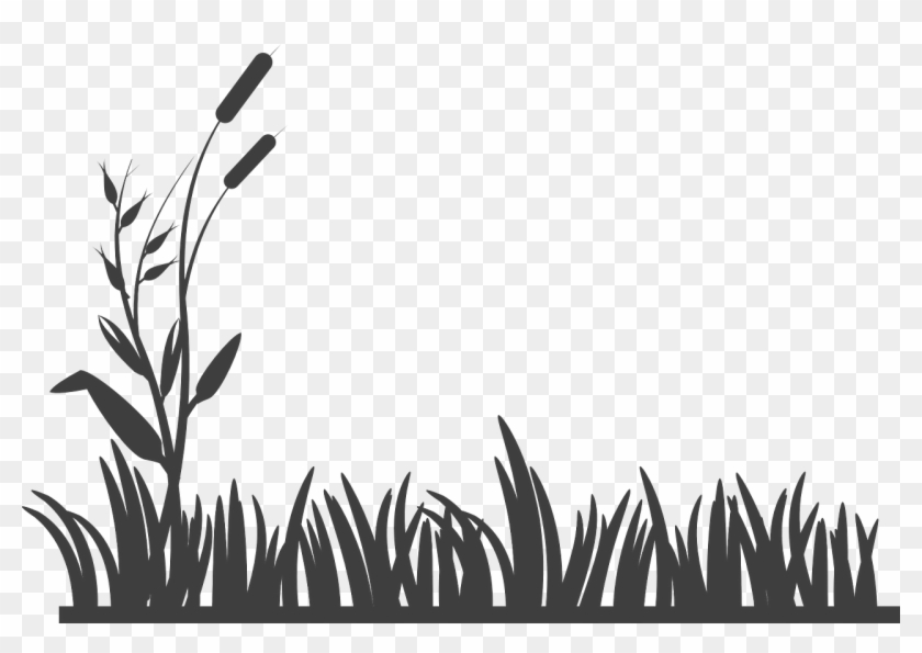 Grass Vector at Vectorified.com | Collection of Grass Vector free for