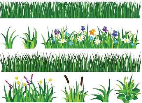 Grass Vector Premium Clipart 487x353 Grass Vector Premium Clipart