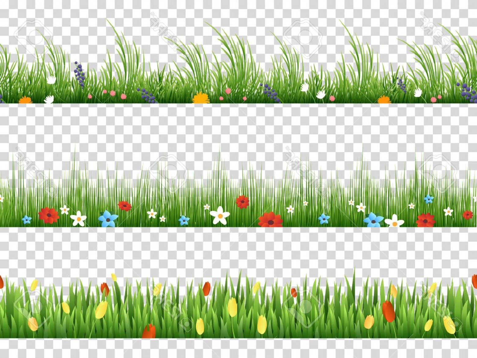 Grass Border No Background Green Grass Vector Nature Borders Large 1560x1170 Grass Border No Background Green Grass Vector Nature Borders Large