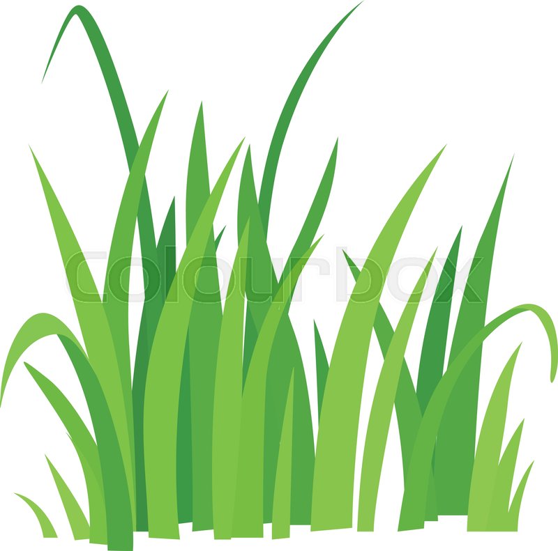 Grass Icon Cartoon Illustration Of Stock Vector Colourbox 800x791 Grass Icon Cartoon Illustration Of Stock Vector Colourbox