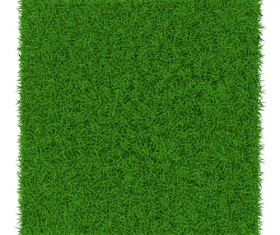 Green Grass Vector 280x235 Green Grass Vector