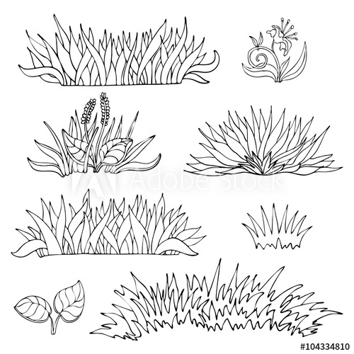 Hand Drawn Grass Vector Illustration 500x500 Hand Drawn Grass Vector Illustration