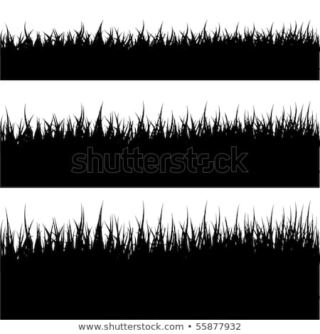 Huge Collection Of 'grass Vector Silhouette' Download More Than 450x470 Huge Collection Of 'grass Vector Silhouette' Download More Than
