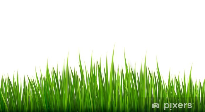 Nature Background With Green Grass Vector Wall Mural Pixers 700x383 Nature Background With Green Grass Vector Wall Mural Pixers