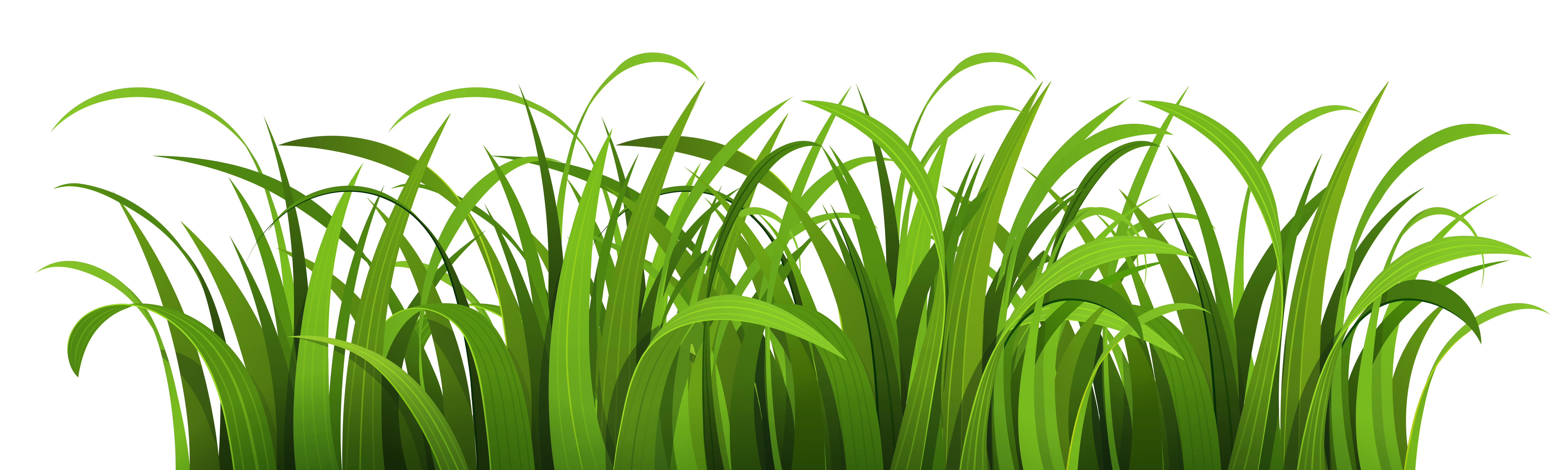 Pngpix Com Grass Vector Png Transparent Image Supernatural Brand 7500x2250 Pngpix Com Grass Vector Png Transparent Image Supernatural Brand