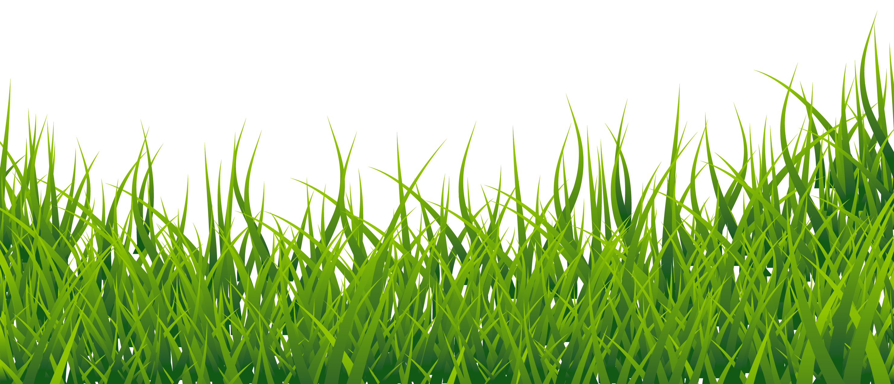 A Grass Vector, Grass Clipart, Grass 2962x1274 A Grass Vector, Grass Clipart, Grass