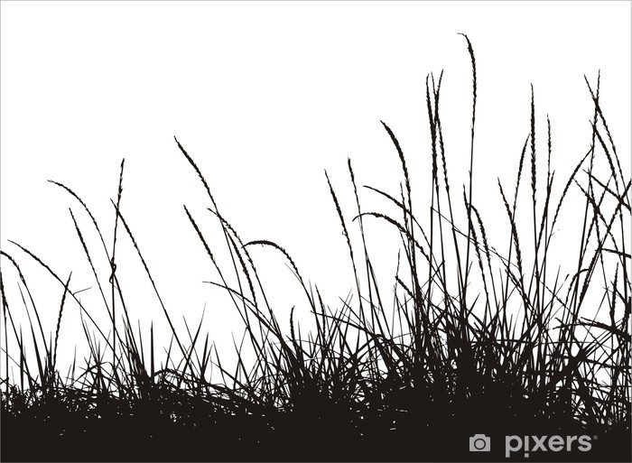 Grass Vector Silhouette Wall Mural 700x513 Grass Vector Silhouette Wall Mural