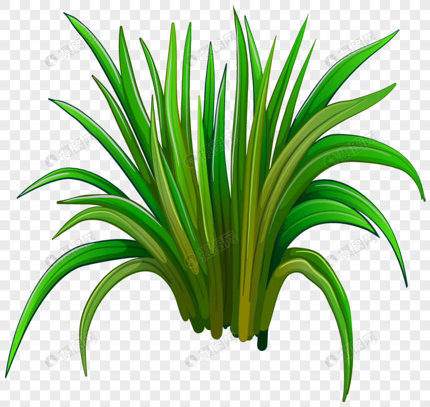 Cartoon Cartoon Natural Grass Vector Material Png Image Picture 860x813 Cartoon Cartoon Natural Grass Vector Material Png Image Picture