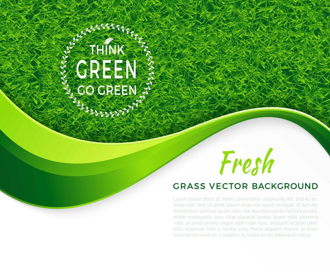 1136x936 Fresh Green Grass Vector Background Vector Art Graphics
