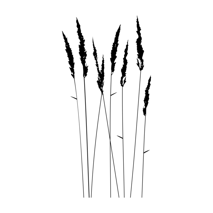 690x690 Grass Herb Graphics Design Dxf Png