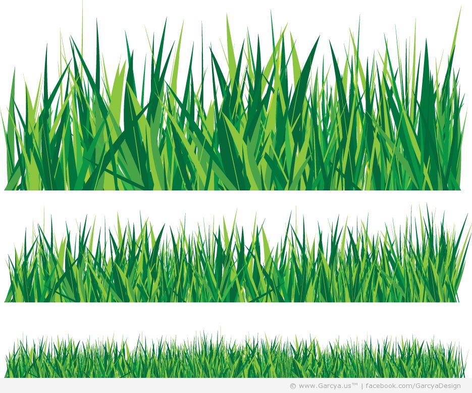935x780 Grass Vector Graphic Images
