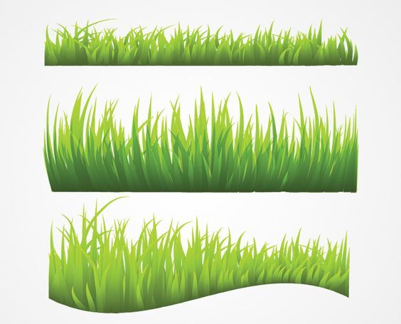564x456 Grass Vector
