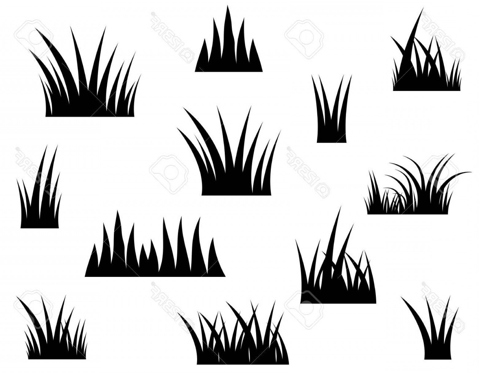 1560x1215 Grass Vector Black And White Savoyuptown