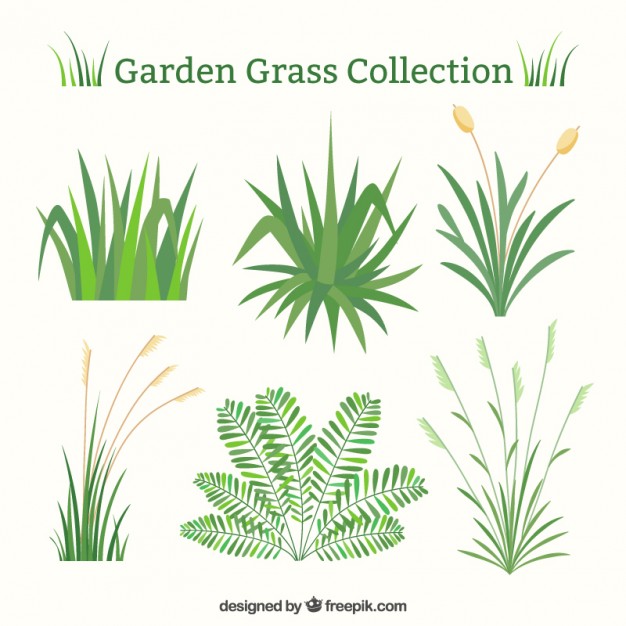 626x626 Grass Vectors, Photos And Free Download