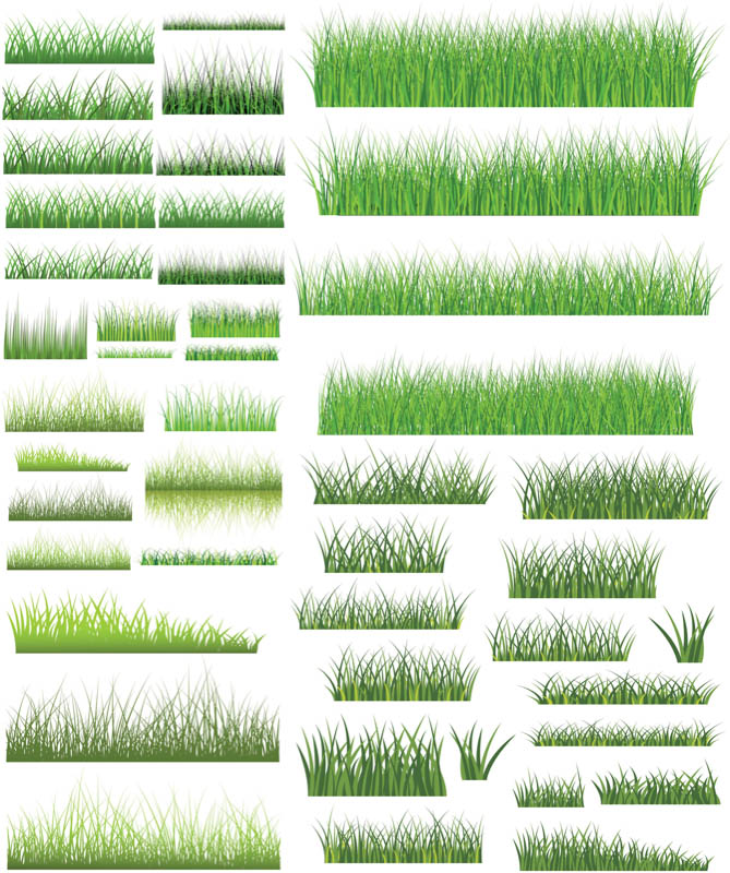 669x800 Grass Templates Vector Free Stock Vector Art Illustrations