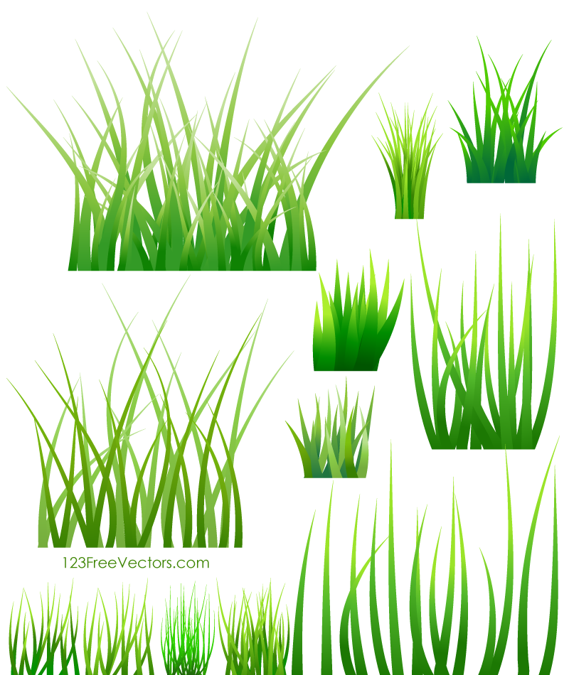 800x950 Green Grass Vector