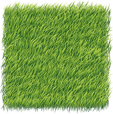 365x368 Green Grass Vector Free Vector Download