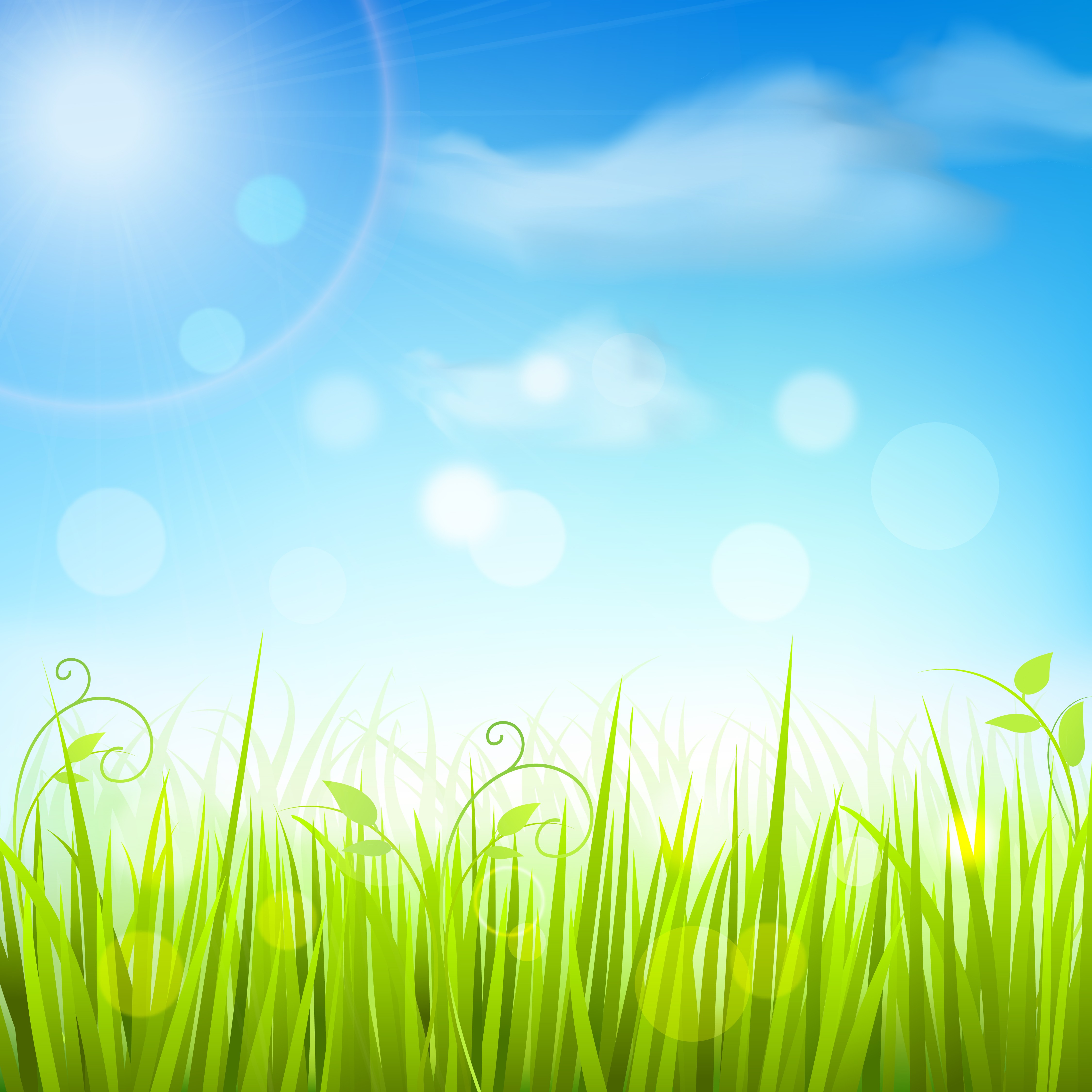 4500x4500 Clouds Sky Grass Vector Awesome Spring Meadow Grass Blue Sky