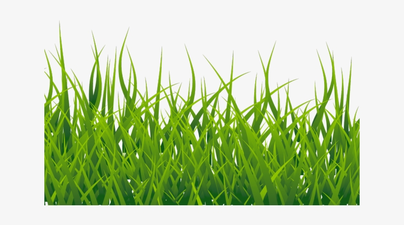 820x457 Grass Png Transparent Images