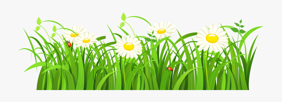 920x333 Grass Vector