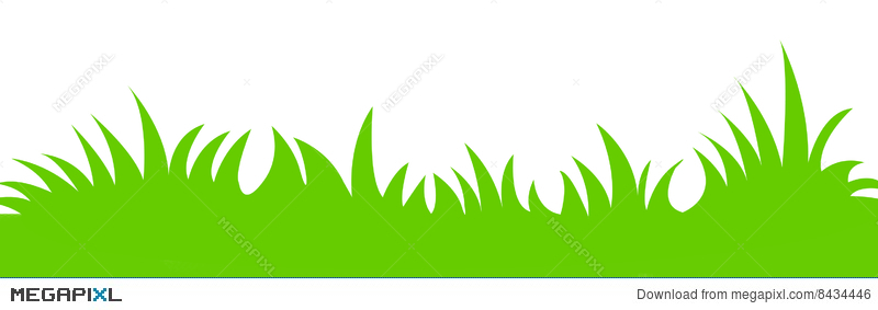 800x283 Grass Vector Illustration