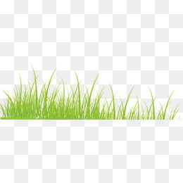 260x260 Grass Clipart Vector For Free Download And Use Images