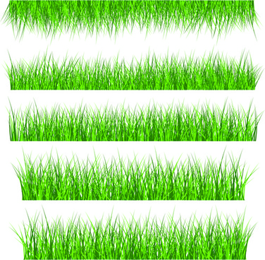 376x368 Grass Free Vector Download