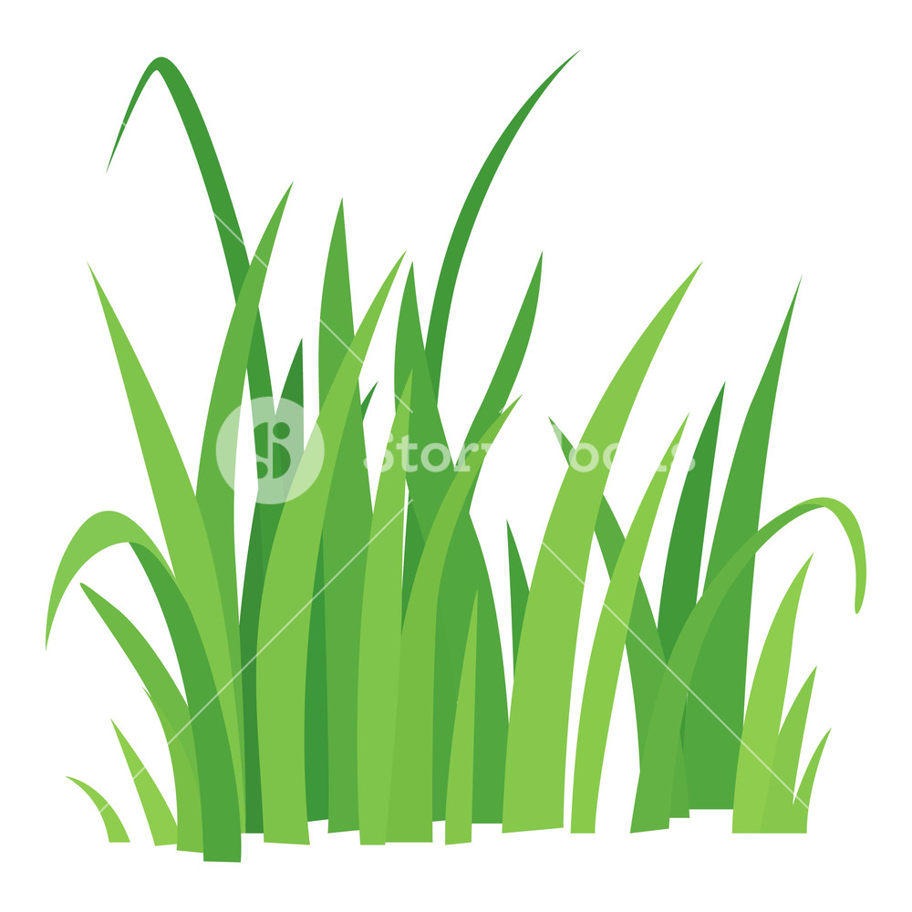 1000x1000 Grass Icon Cartoon Illustration Of Grass Vector Icon For Web