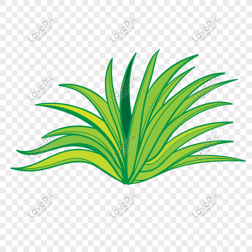 860x860 Grass Vector Illustration Png Png Image Picture Free Download