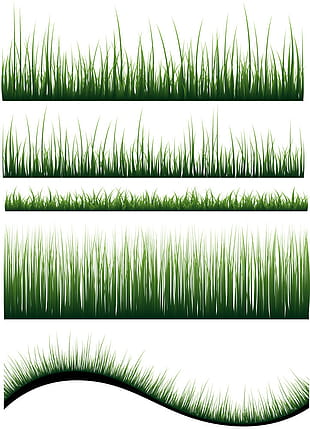 310x429 Free Grass Vector Graphics Download Uihere