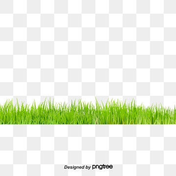 Grass Vector Free at Vectorified.com | Collection of Grass Vector Free ...