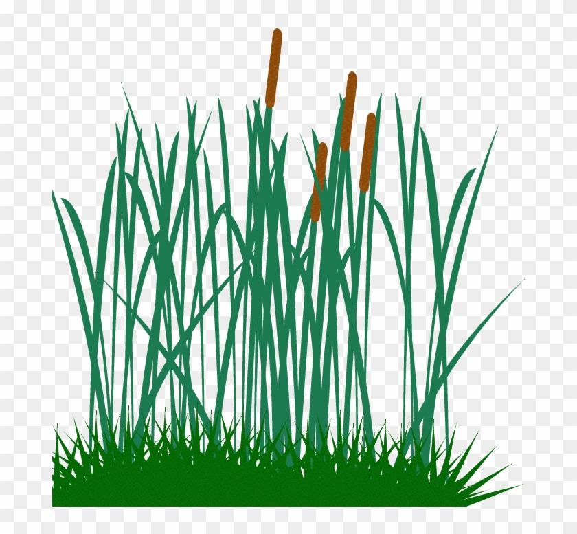 840x777 Tall Grass Clip Art Png Image